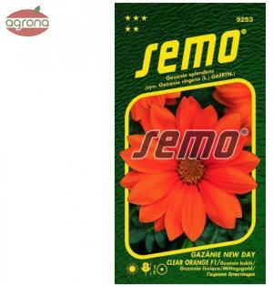 Gazánia SM New Day Clear Orange F1 15sem.