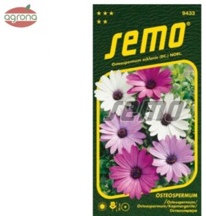 Osteospermum SM Balade mix 0,3g