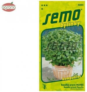 Bazalka SM Mánes - do nádob 0,6g