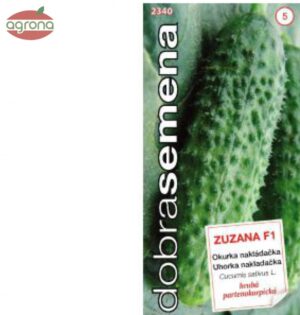 Uhorka nakladačka DS Zuzana F1 1,5g