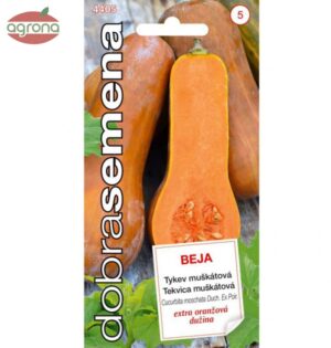 Tekvica DS26 Beja  muškátová, 10s