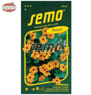Tunbergia SM Oranžová s okom, ťahavá 1g