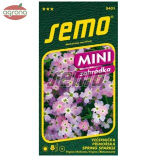 Večernička prímorská SM Spring Sparkle (Virginia) do kvetináčov, MINI 10-20cm
