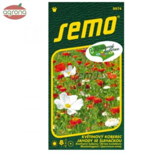 Zmes Jahody so šľahačkou SM KVETINOVÝ KOBEREC, 6g 9974