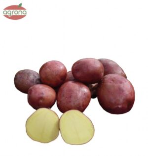 Zemiaková sadba Red Anna 5 kg vrece  ,varný typ B-BA ružová šupka, žltá dužina, poloskorá