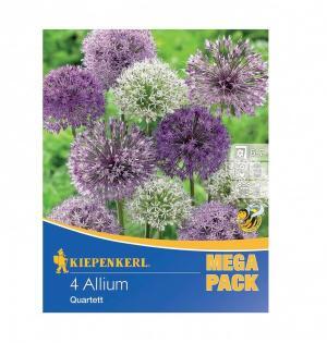 Okras.cesnak Mix bal.4ks 18/20 (allium) Gladiator,Mount Everest, Pinball Wizard, Mars 45-110cm