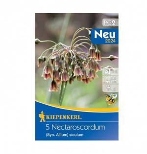 Okras.cesnak Nectaroscordum (allium) 5ks 8/10