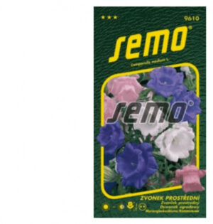 Zvonček prostredný SM Cup and Saucers - zmes 0,3g