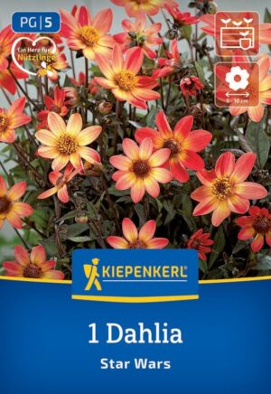 Georgína Go Go Star Wars 1ks oranž. žltý stred 30cm