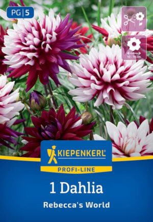 Georgína dekor. Rebeccas World 1ks, I, 110cm