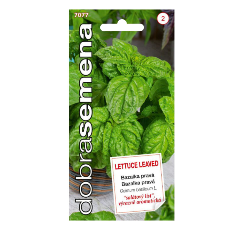 Bazalka DS28 Lettuce Leaved pravá širokolistá, 0,3 g