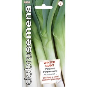 Pór zimný DS Winter Giant 1,5g