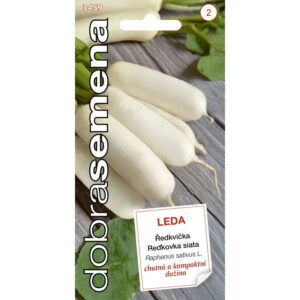 Reďkovka biela DS Leda - podlhovastá 4g