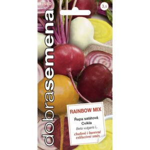 Repa šal.guľ. DS Rainbow MIX (Cvikla) 60 semien