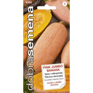Tekvica DS Pink Jumbo Banana - Obrovská 7 semien