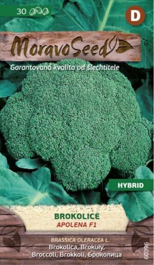 Brokolica MS Apolena F1 30s.