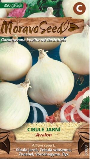 Cibuľa jarná MS Avalon biela 2g/ 350s.