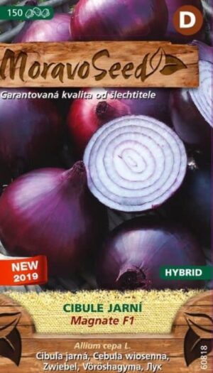 Cibuľa jarná MS Magnata F1 červená 1g/ 150s.