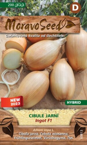 Cibuľa jarná MS Ingot F1 1,3g/ 200s.