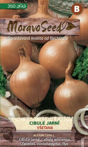 Cibuľa jarná MS Všetana 2g/350s.