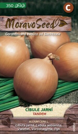 Cibuľa jarná MS Tandem 2g/350s.