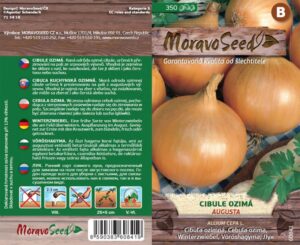 Cibuľa ozimná MS Augusta 2g/ 350s.