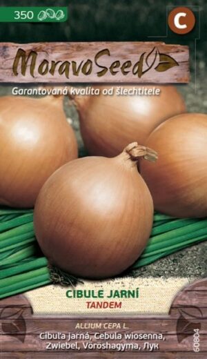 Cibuľa jarná MS Tandem 2g/350s.