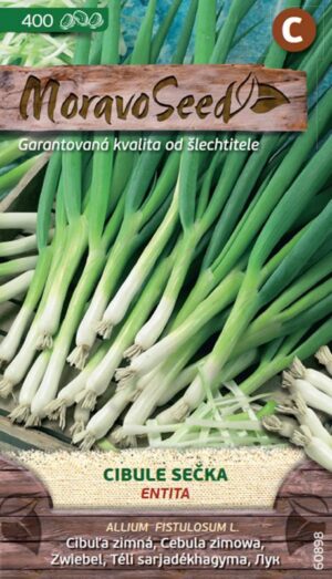 Cibuľa zimná MS Entita 2g/ 400s.