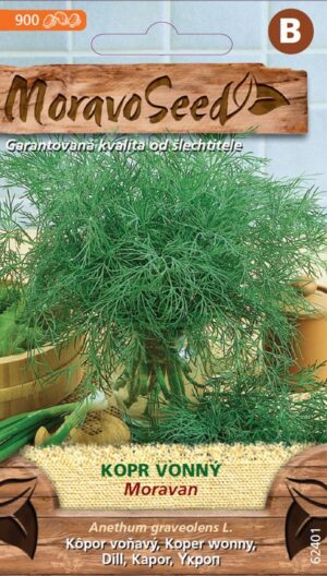 Kôpor voňavý MS Moravan 3g (900s.)
