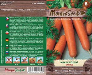 Mrkva neskorá MS Darina 3g (2000s.)