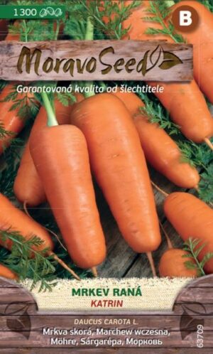 Mrkva skorá MS Katrin 2g (1300s.)