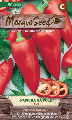 Paprika na pole MS Eva  50s.