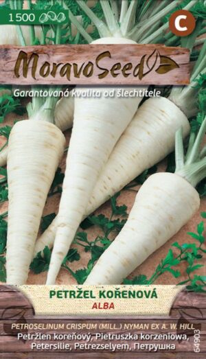 Petržlen MS Alba 4g (1500s.)
