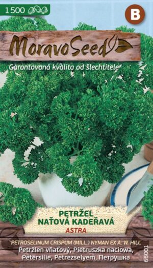Petržlen vňať. MS Astra - kučeravý 4g (1500s.)