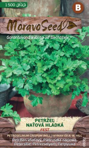 Petržlen vňať. MS Fest 4g (1500s.)