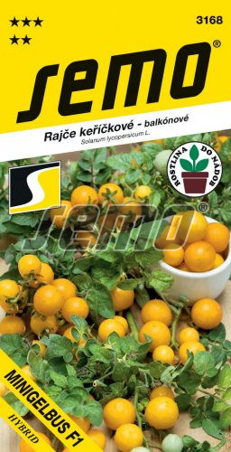 Rajčiak kríč. SM Minigelbus F1 - veľmi skorý DO NÁDOB, čerešňový žltý 40 s. 3168