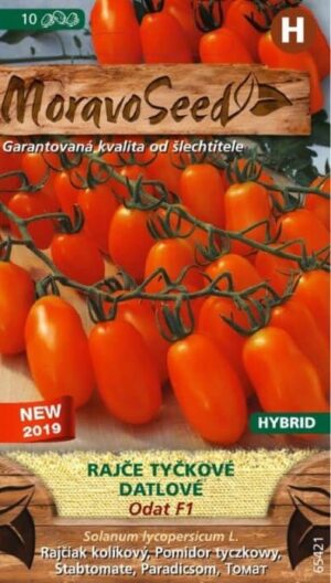 Rajčiak kol. MS Odat F1 10s. datlový