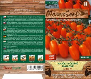 Rajčiak kol. MS Odat F1 10s. datlový