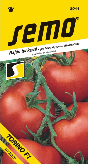 Rajčiak kol. SM Torino F1 sklad.