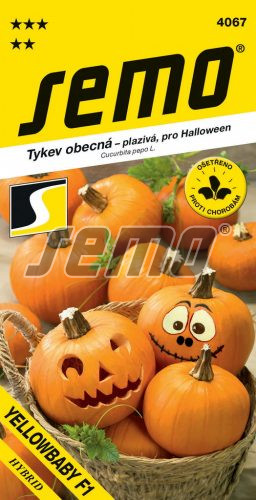 Tekvica SM Yellowbaby F1 - na Halloveen aj varenie 3g 4067