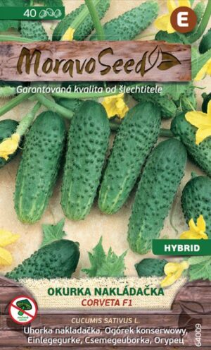 Uhorka nakl. MS Corveta F1 -hruboostná 1,5g/ 40s.