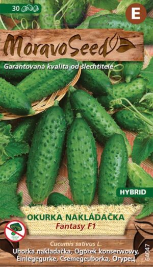 Uhorka nakl. MS Fantasy F1 -hruboostná 1,5g/ 35s.