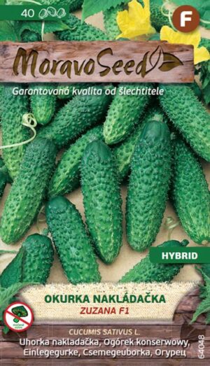 Uhorka nakl. MS Zuzana F1 -hruboostná 1,2g/ 30s.