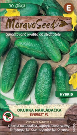 Uhorka nakl. MS Everest F1 -jemnoostná 1g/ 25s.