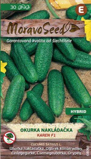 Uhorka nakl. MS Karen F1 -jemnoostná 1g/ 30s.