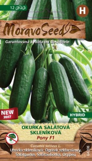 Uhorka šal. MS Pony F1 12s.