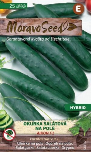 Uhorka šal. MS Aikon F1 25s. na pole