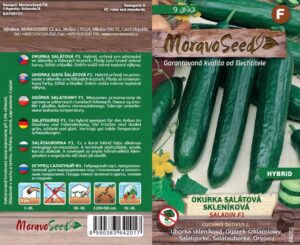 Uhorka šal. MS Saladin F1 - do fóliovníkov 9s.