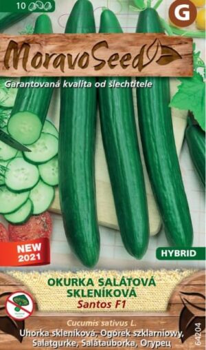 Uhorka šal. MS Santos F1 - do fóliovníkov  9s.