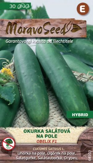 Uhorka šal. MS Obelix F1 - na pole  30s.